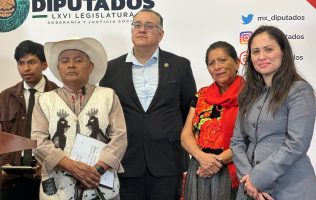 Promueve indígena de Temoaya Ley Anti-Sergio Mayer