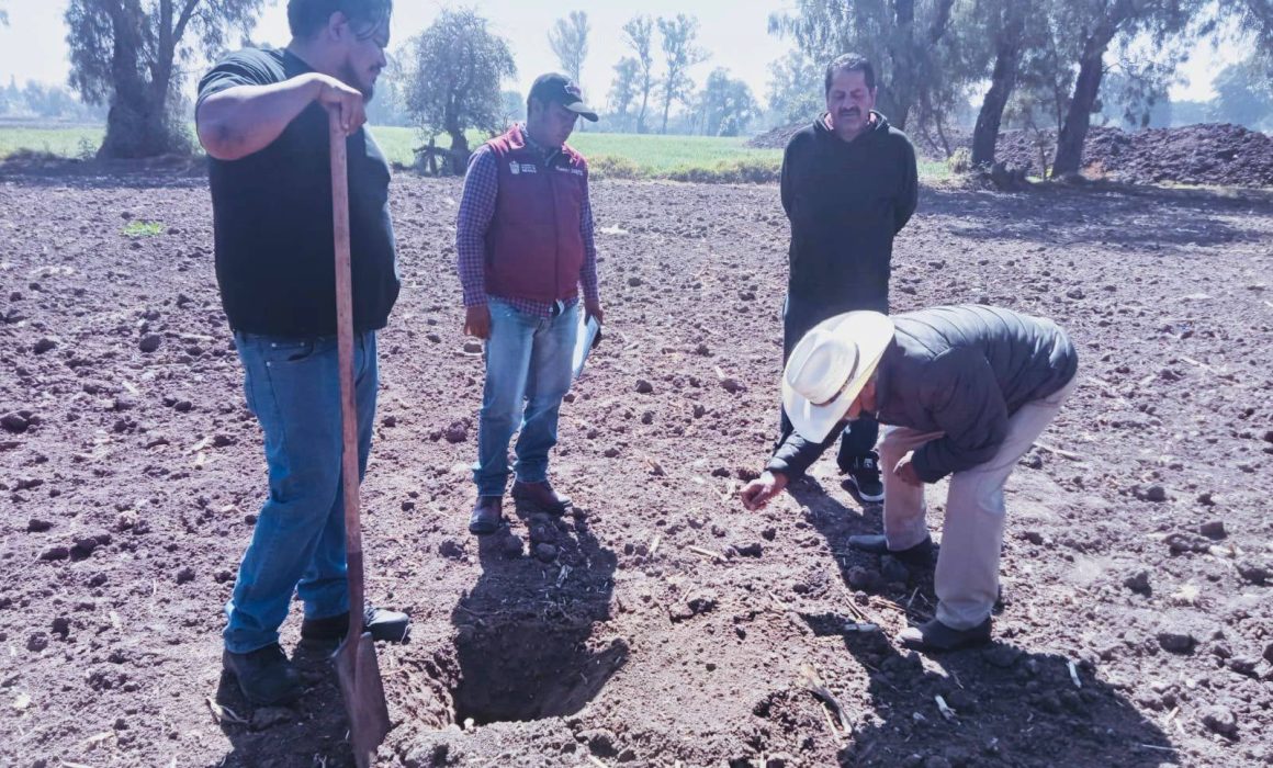 Protegen cultivos de Teoloyucan con monitoreo contra plagas agrícolas