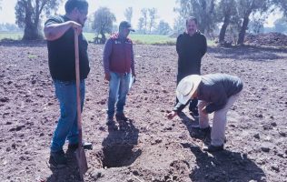 Protegen cultivos de Teoloyucan con monitoreo contra plagas agrícolas