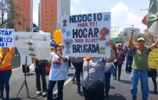 Protestan en la México-Toluca por animales del Refugio Franciscano