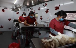 Refuerzan esterilización gratuita con unidad móvil única en Tecámac
