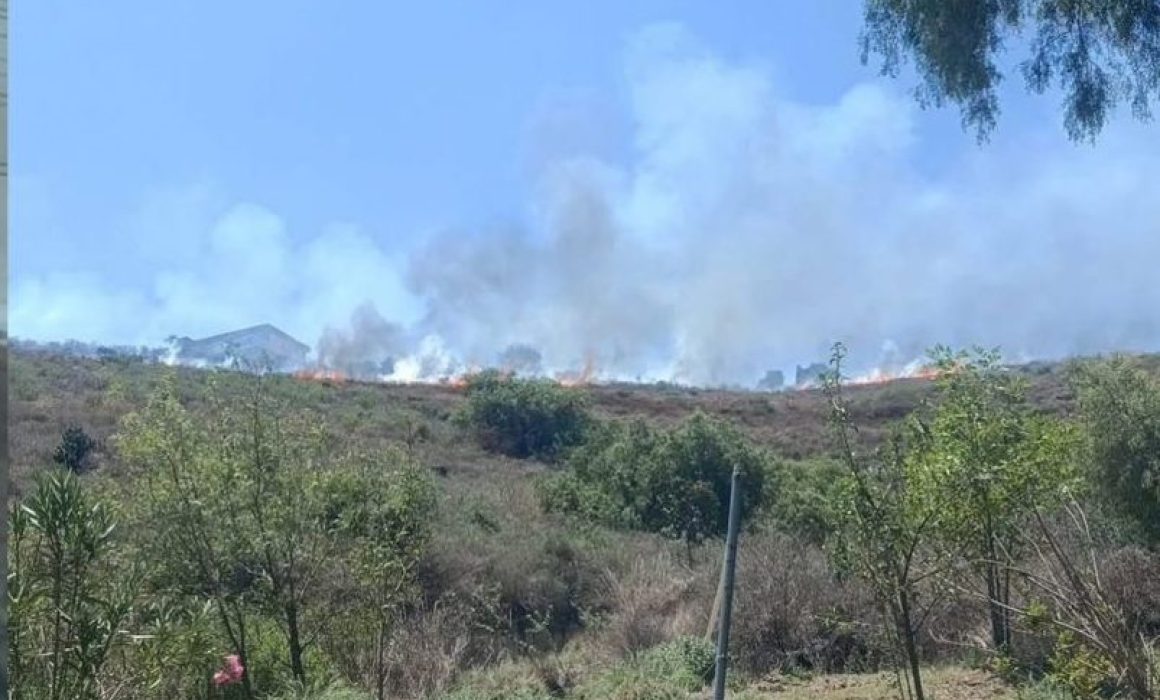 Reportan incendio de pastizal cerca de los outlets Punta Norte