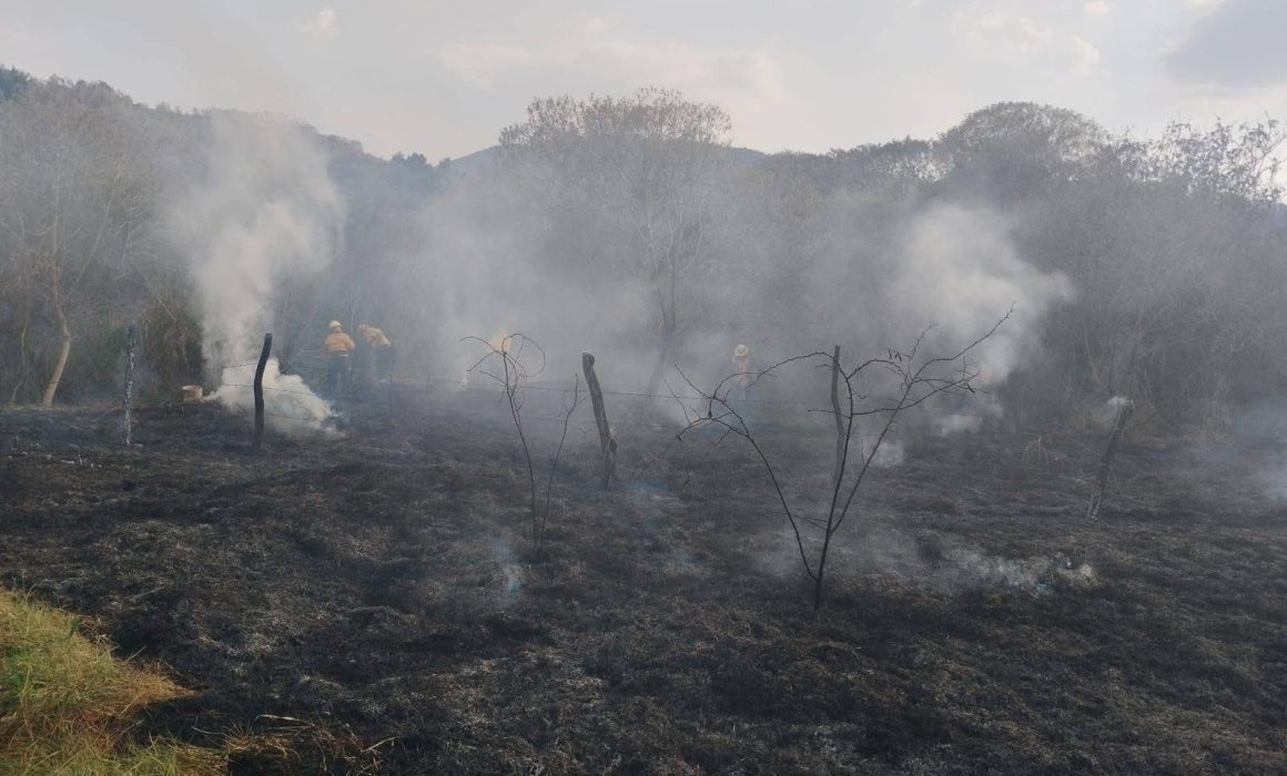 Reportan múltiples incendios en Tejupilco por condiciones climáticas