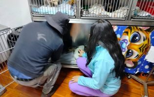 Rescata UAEMéx a 'Mantequilla', perrita que paseaba en la escuela