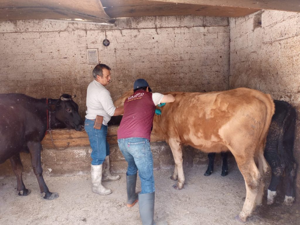 Fotos: Secretaria del Campo