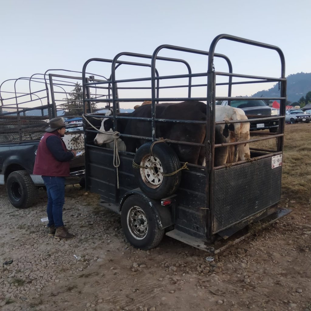 Fotos: Secretaria del Campo