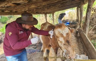 Van por rescate ganadero en Edomex con créditos para productores