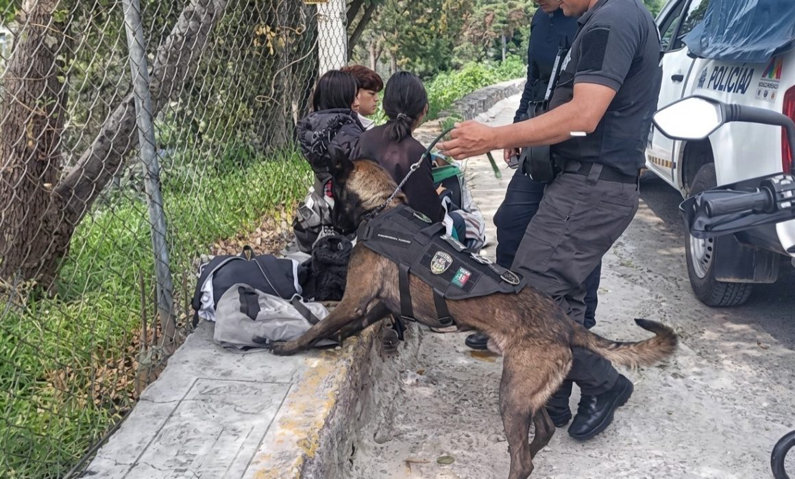 el canino héroe que blinda las calles de Nicolás Romero