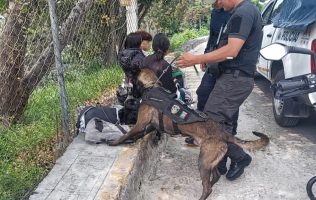 el canino héroe que blinda las calles de Nicolás Romero