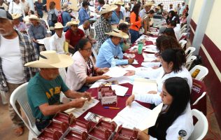 Advierten riesgo por gusano barrenador en el sur del Edomex