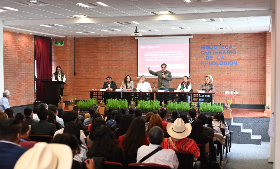 Alinean Probosque y Procuraduría Agraria estrategia contra tala ilegal
