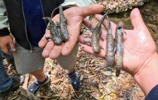 Atienden derrame de combustible que contaminó agua en Huixquilucan