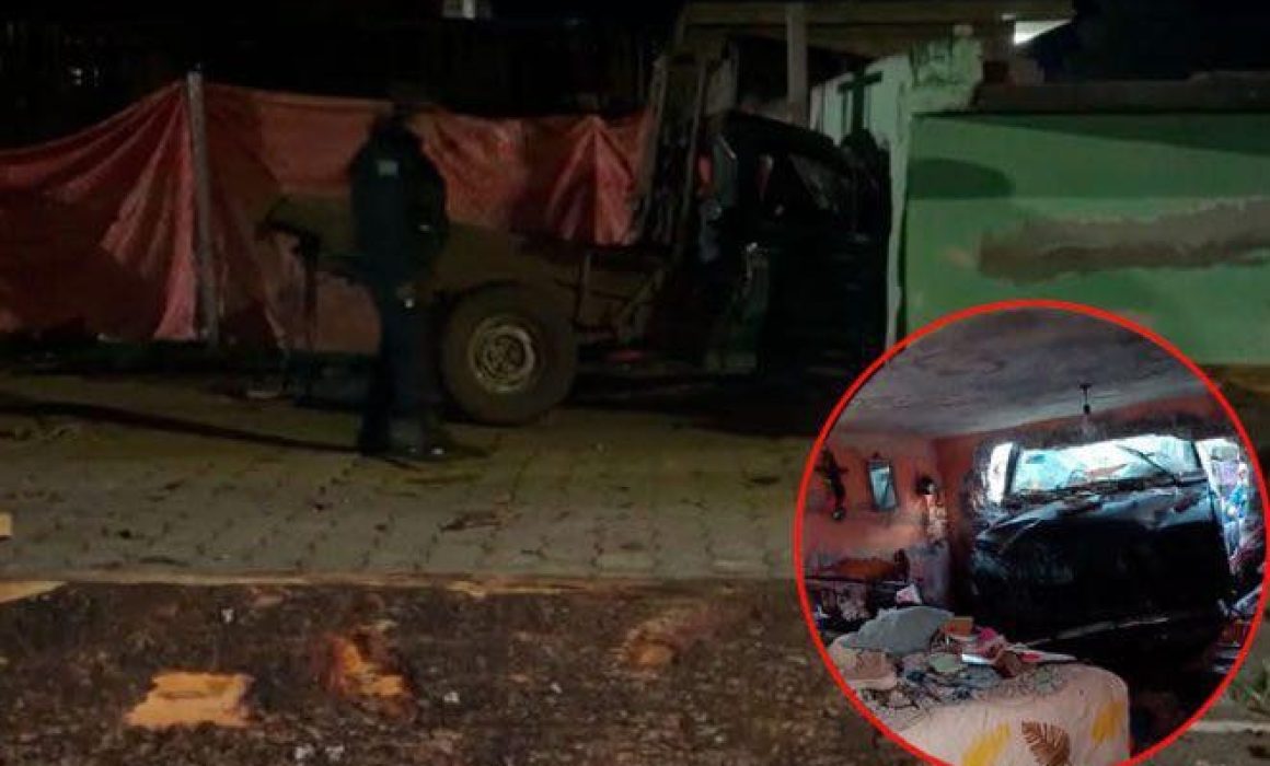 Blindan bosques de Ocuilan con 80 elementos contra tala ilegal