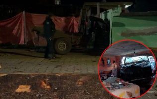 Blindan bosques de Ocuilan con 80 elementos contra tala ilegal