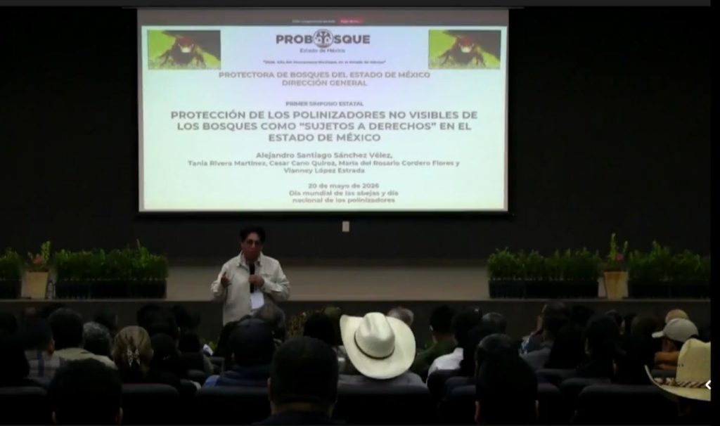 Fotos: PROBOSQUE 