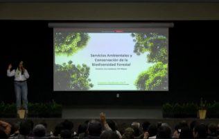 Busca Edomex reconocer polinizadores invisibles como sujetos a derecho