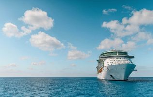 Buscan a turistas que bajaron de crucero infectado con hantavirus