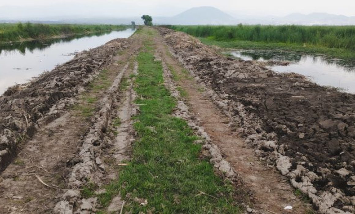 Clausura Profepa obras por daños en humedales del Río Lerma