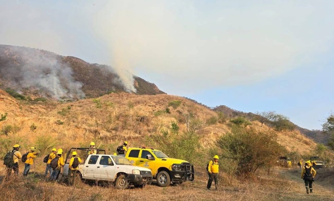 Combaten más de cien brigadistas incendio forestal activo en Luvianos