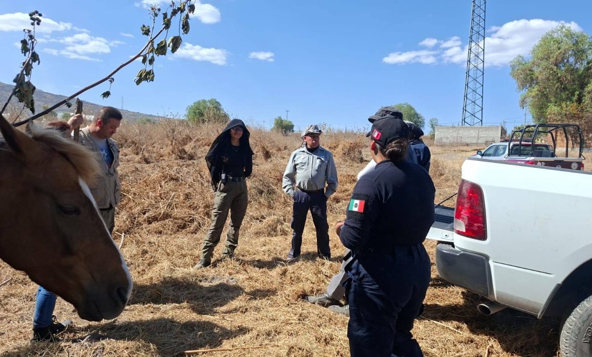 Crece descontento ciudadano en Teoloyucan ante incremento de inseguridad