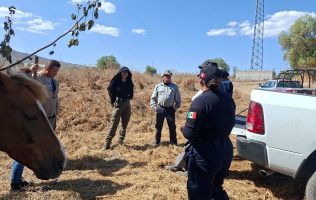 Crece descontento ciudadano en Teoloyucan ante incremento de inseguridad