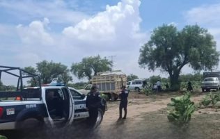 Dan golpiza a anciano de 90 años y le roban 53 borregos en Otumba