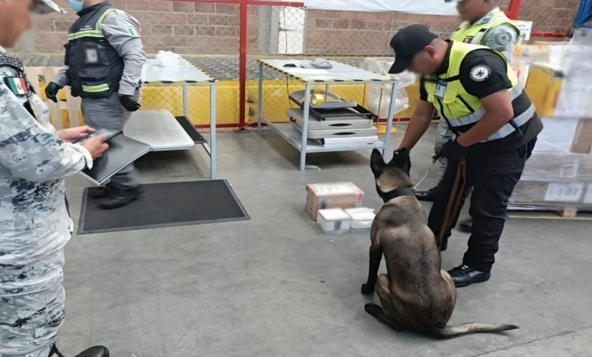 Decomisan droga oculta en veladoras en el AIFA rumbo a Australia