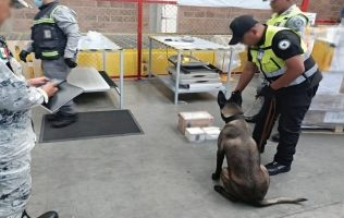 Decomisan droga oculta en veladoras en el AIFA rumbo a Australia