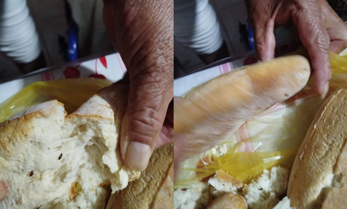 Detectan cucarachas en bolillos en Apaxco; aumentan quejas sanitarias