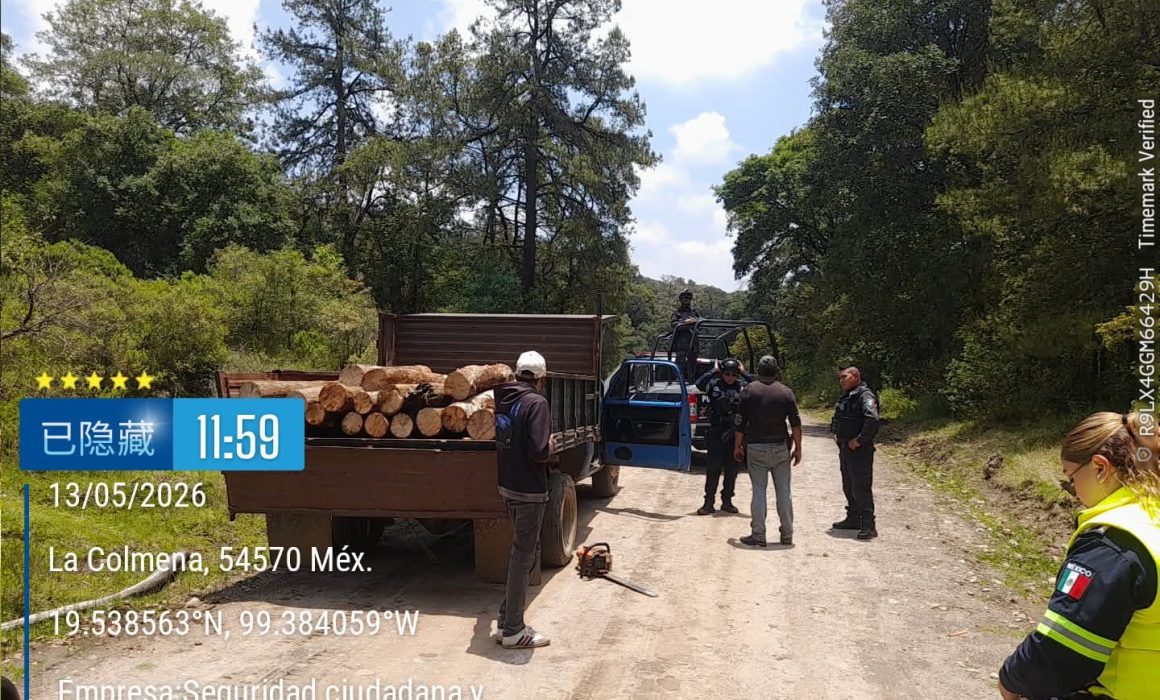 Detienen a presuntos talamontes tras operativo en Jilotzingo