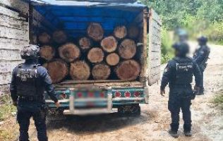 Detienen en Almoloya de Juárez a hombre con cargamento ilegal de madera
