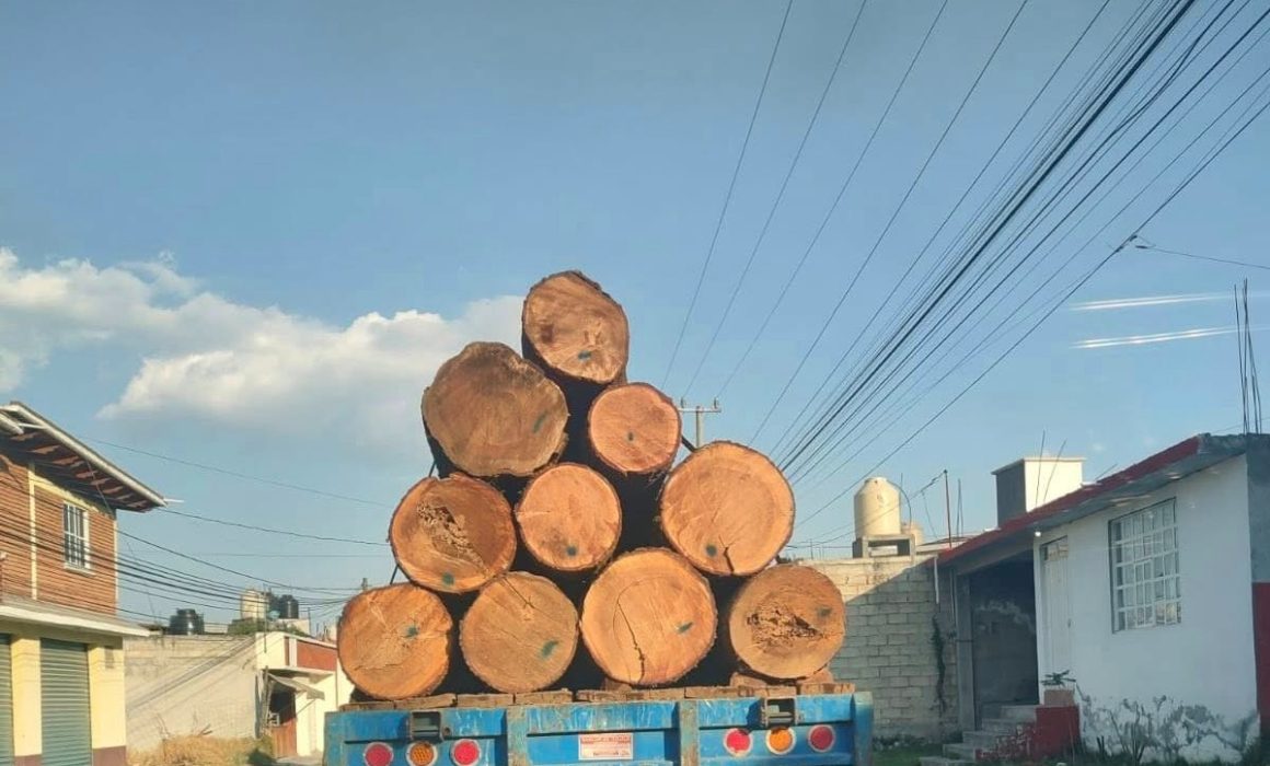 Ejecutan operativo contra la tala clandestina nocturna en Zinacantepec 3