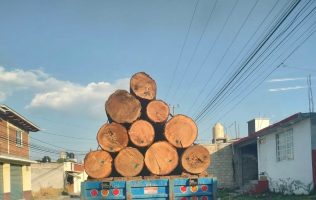 Ejecutan operativo contra la tala clandestina nocturna en Zinacantepec 3