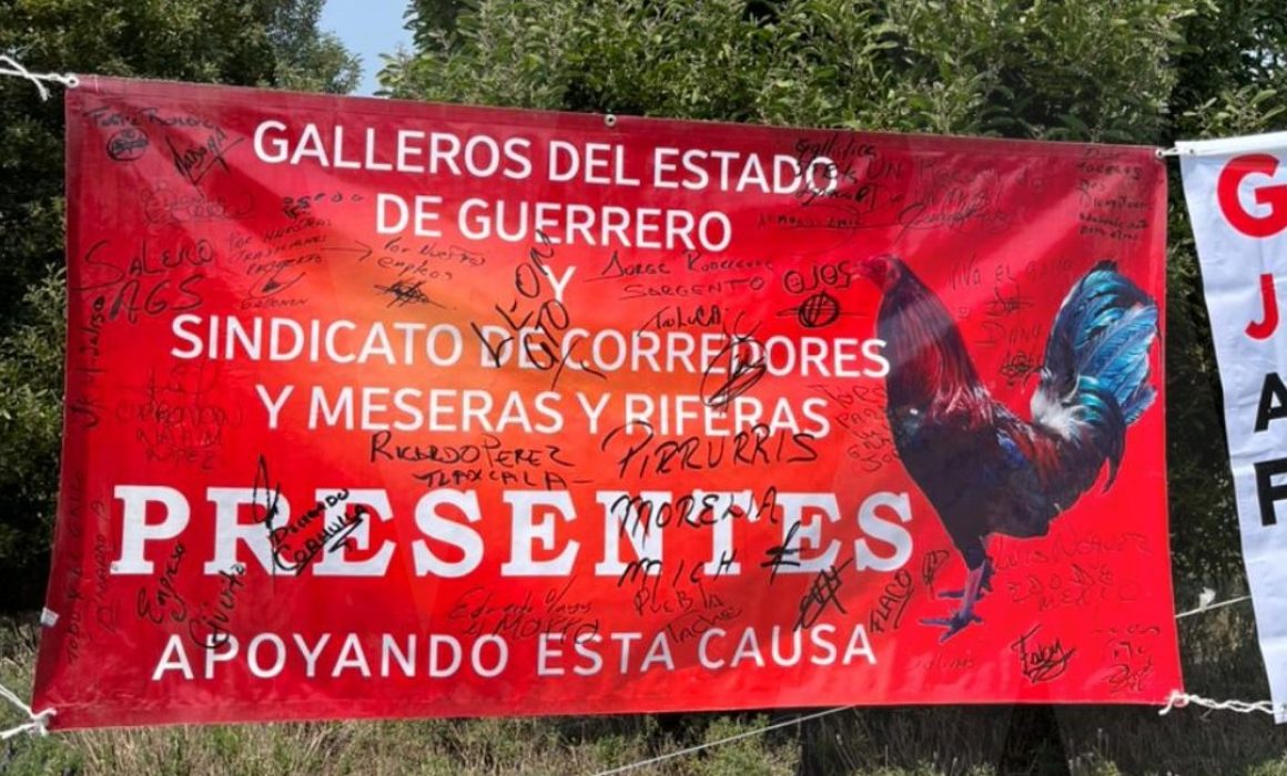 Estallan por la prohibición de peleas de gallos en Edomex; piden diálogo
