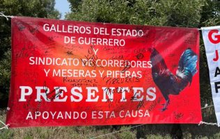 Estallan por la prohibición de peleas de gallos en Edomex; piden diálogo