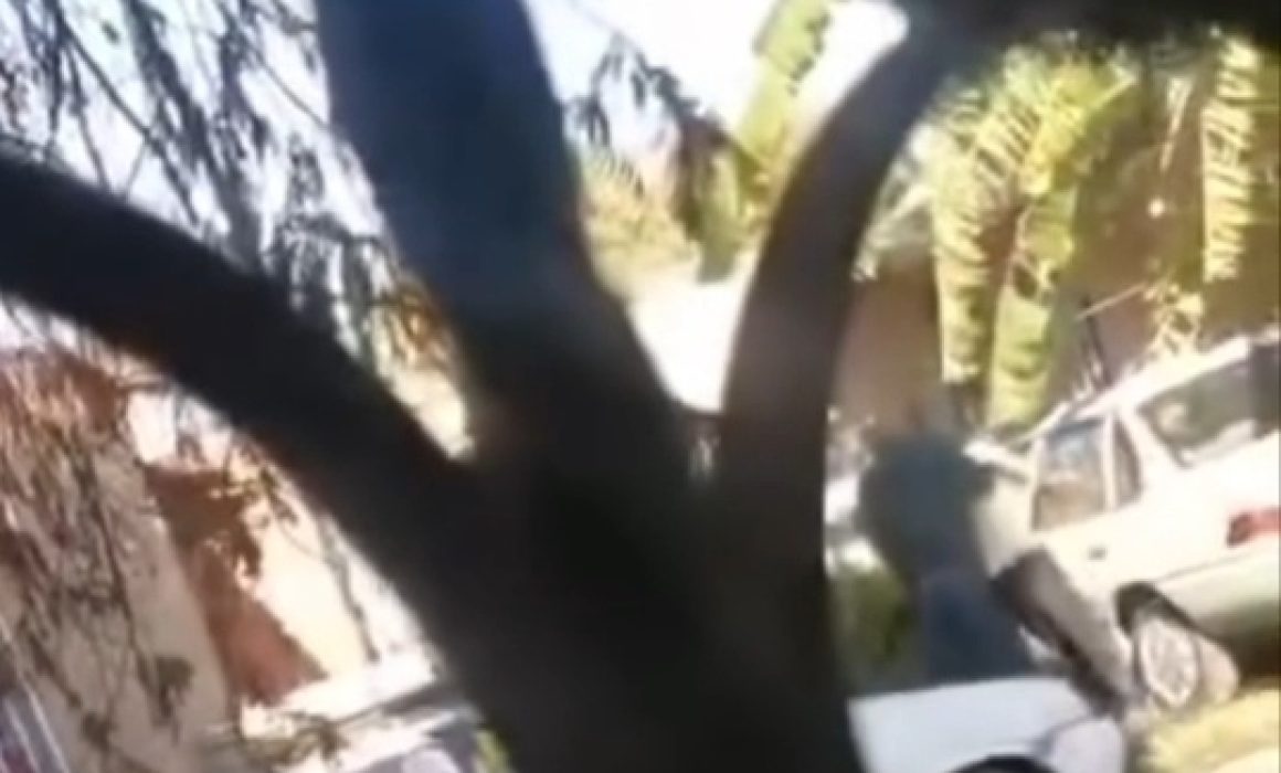 Exhiben a presunto policía golpeando a una mujer en Chicoloapan 1