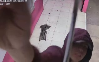 Exhiben en video a presunto ladrón de cámaras de vigilancia en Texcoco