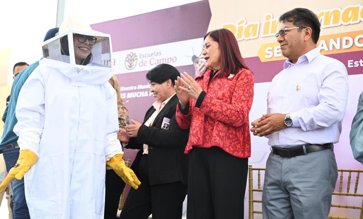 Fortalece Tecámac protección de abejas y cuidado ambiental