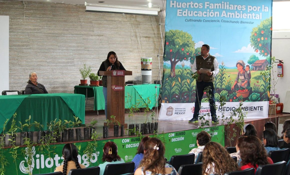 Impulsan huertos familiares para fortalecer producción en Jilotzingo