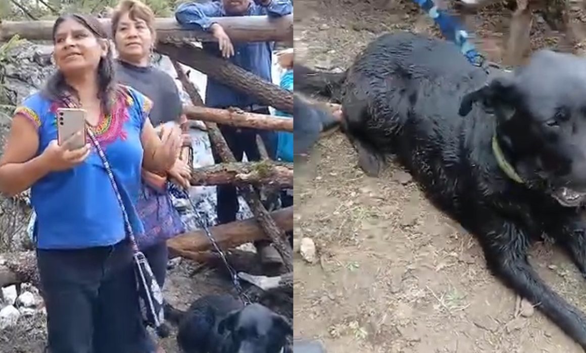 Intentan linchar en Temoaya a 2 mujeres por bañar perro en manantial
