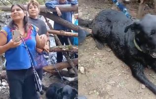 Intentan linchar en Temoaya a 2 mujeres por bañar perro en manantial