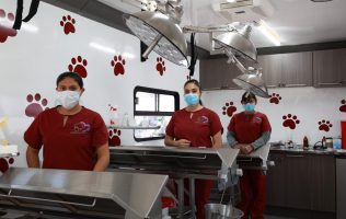 Lleva Tecámac esterilizaciones gratuitas a comunidades