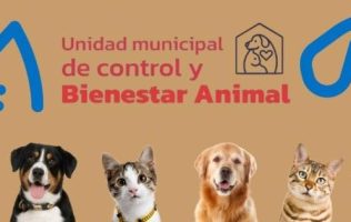Nombran a “Cubeta” directora de Asuntos Perrunos en Coacalco