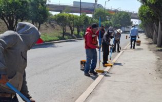 Oculta Ayuntamiento de Tepotzotlán baches con pintura