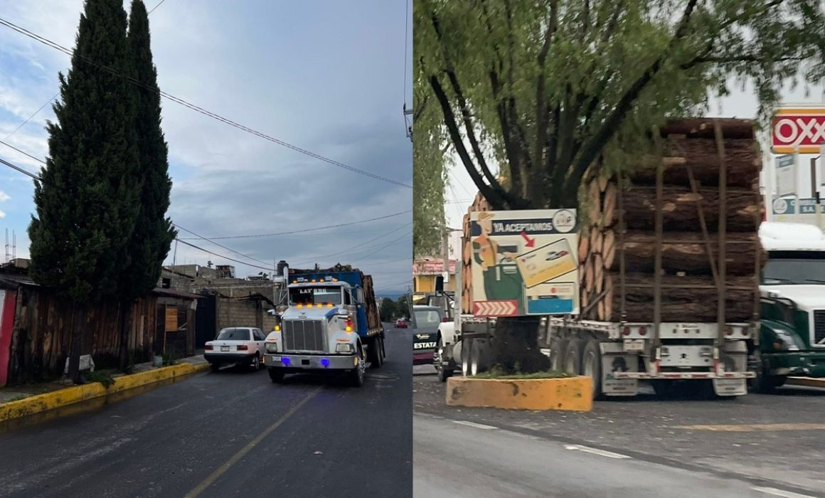 Persiste tala en Zinacantepec pese a despliegue de fuerzas de seguridad