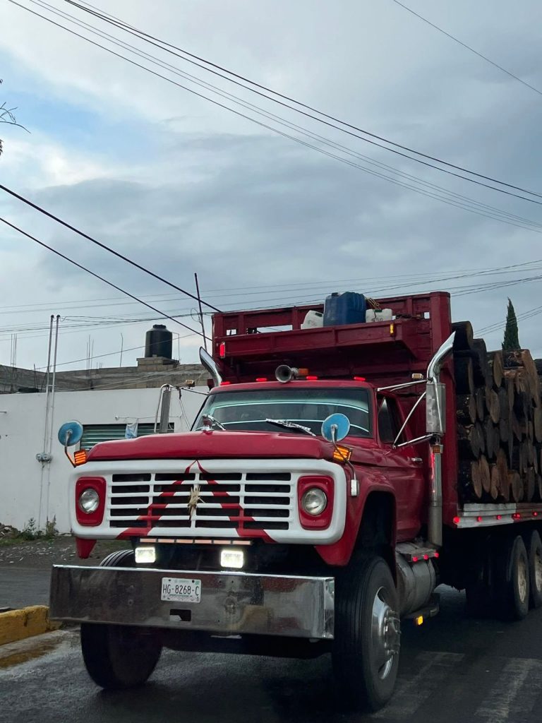 Fotos: acabando con los bosques Zinacantepec 