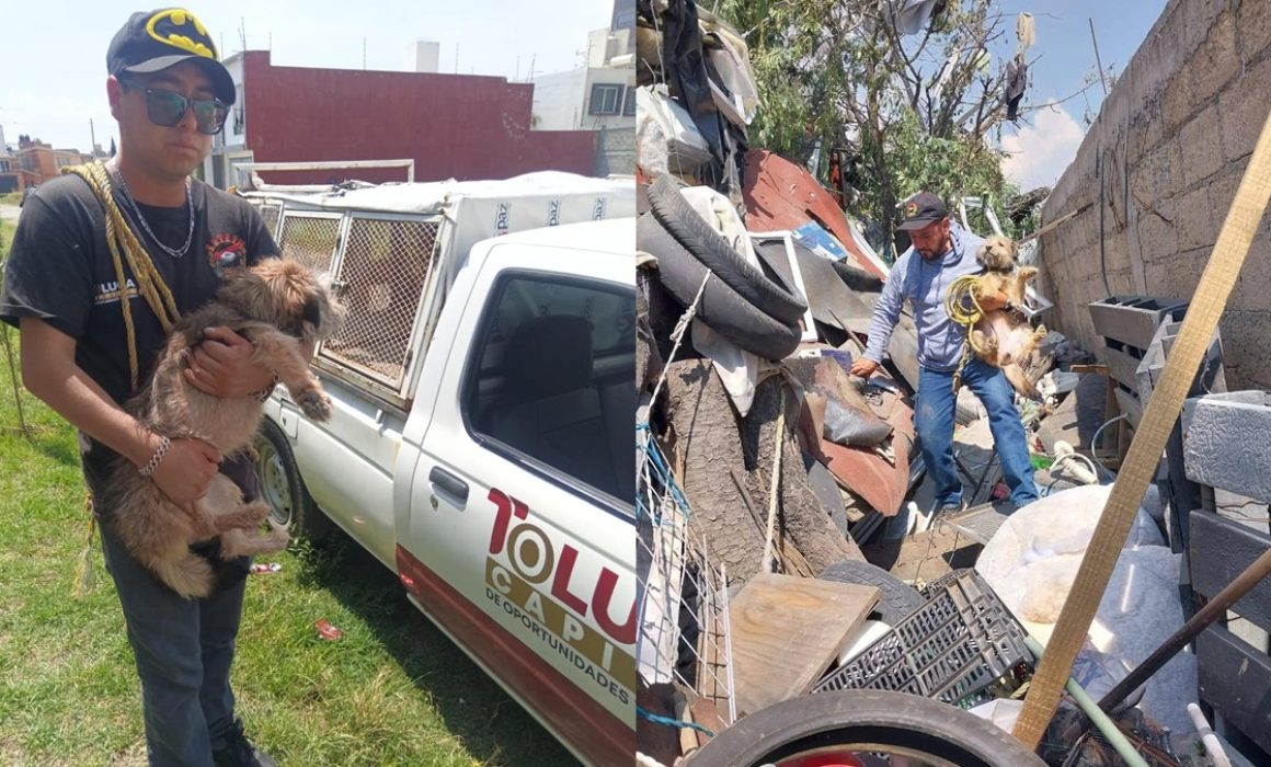 Suman 30 casas dañadas y 3 perros rescatados tras explosión en Toluca