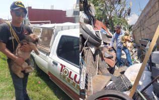 Suman 30 casas dañadas y 3 perros rescatados tras explosión en Toluca