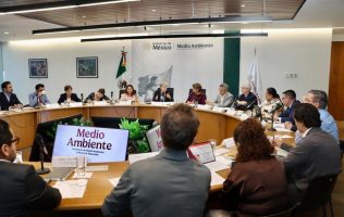 Van por cambios al Hoy No Circula ante crisis ambiental