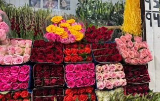 Van toluqueños a mercados locales por flores para el 10 de mayo